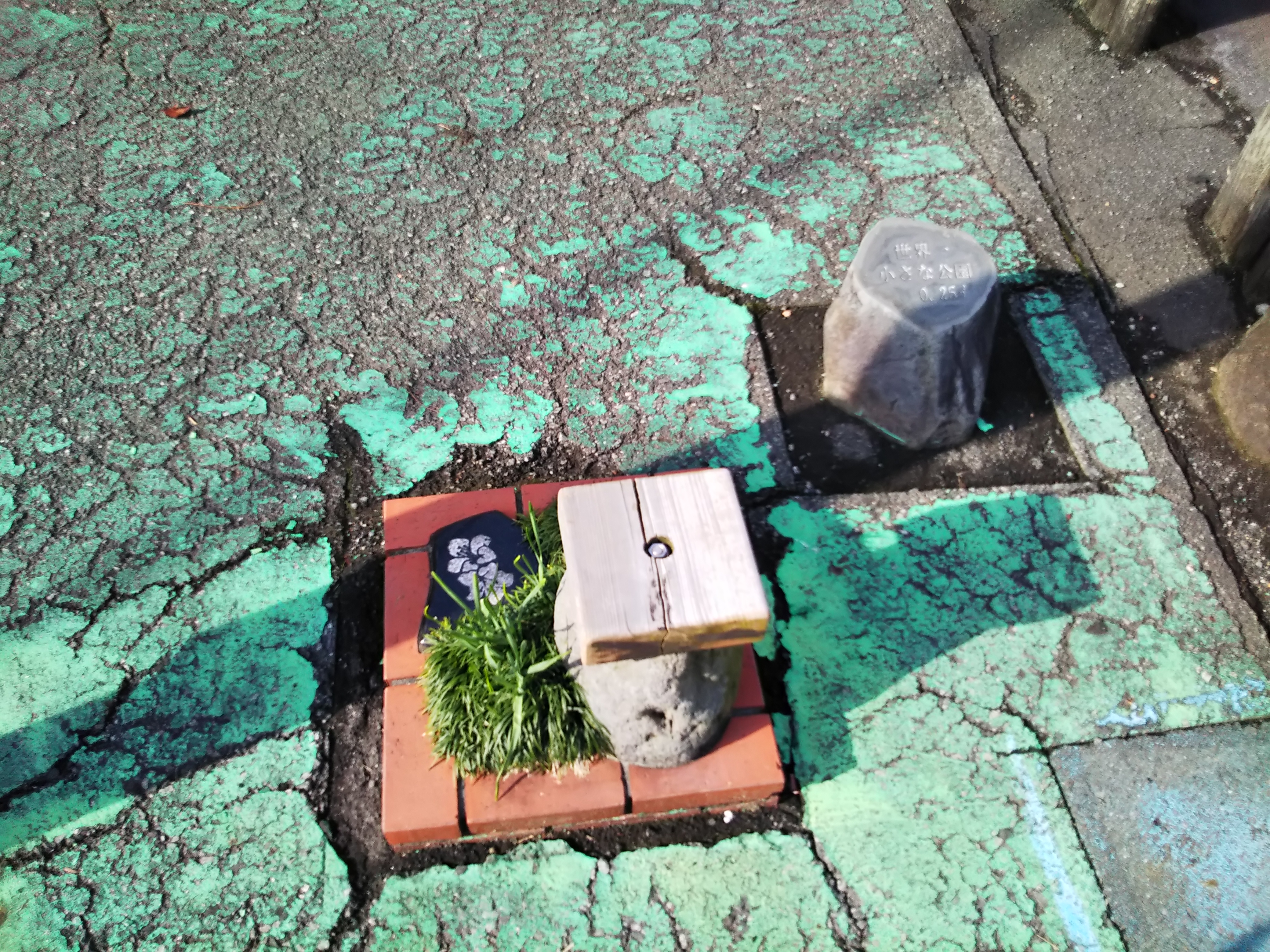 World's Smallest Garden